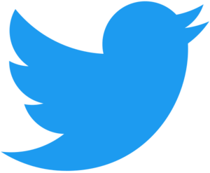 twitter-logo-2012.png